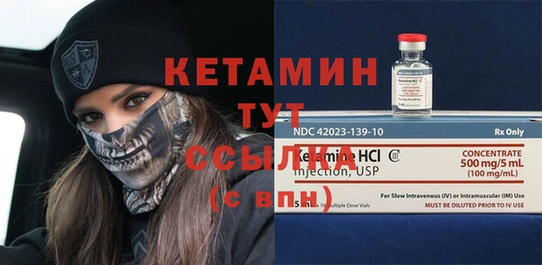 шишки Пестово