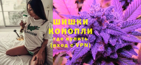 шишки Пестово