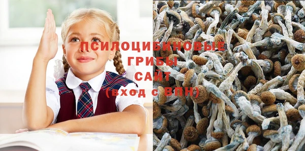 шишки Пестово