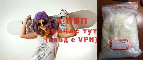 шишки Пестово