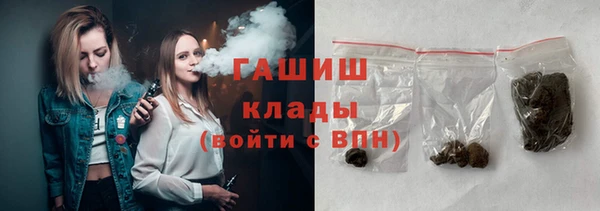 СК Пересвет