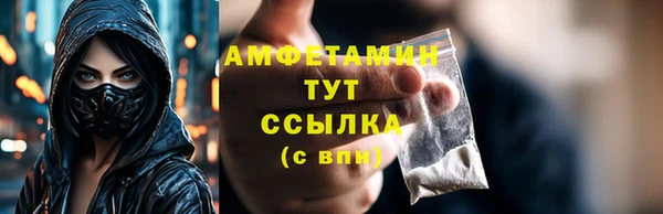 шишки Пестово