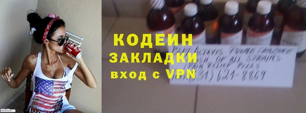 шишки Пестово