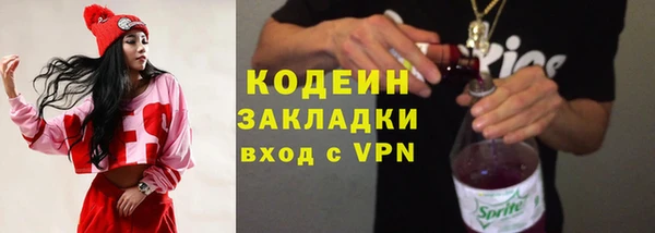 СК Пересвет