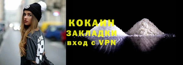 СК Пересвет