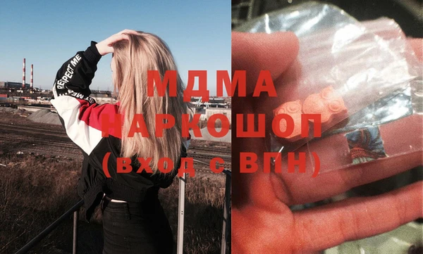 СК Пересвет
