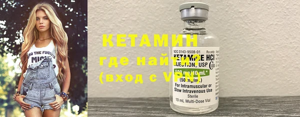 СК Пересвет