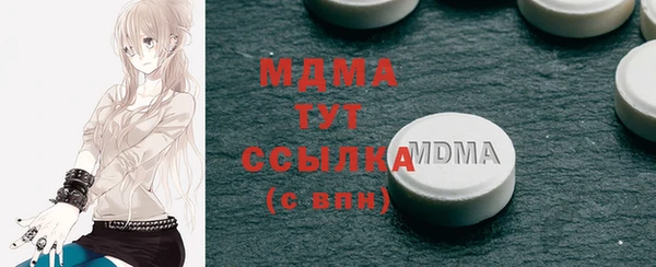 СК Пересвет