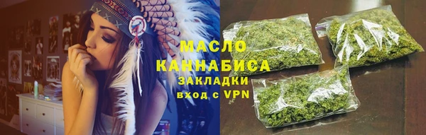 СК Пересвет