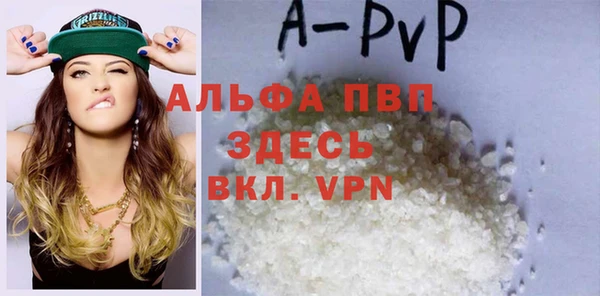 СК Пересвет
