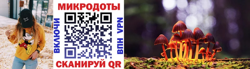 даркнет сайт  Сергач  Галлюциногенные грибы Psilocybine cubensis 